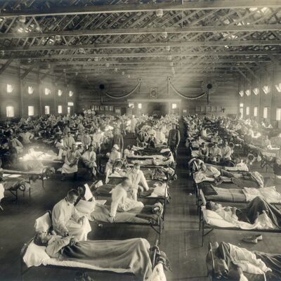 Las epidemias que modelaron Nueva York
