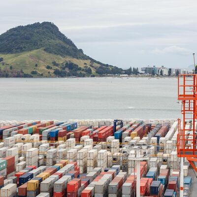 Snapshot - January 2019