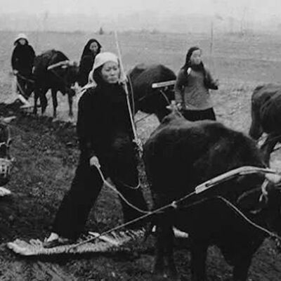 Vol 7 记忆的性别：农村妇女和中国集体化历史