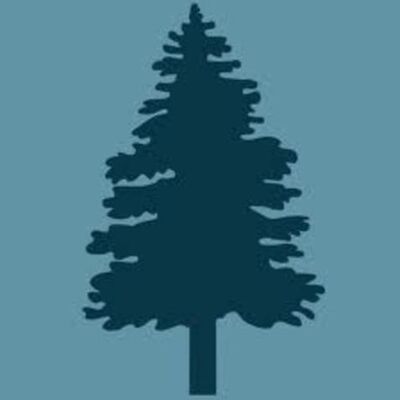 The Right to Own Property on Reservations