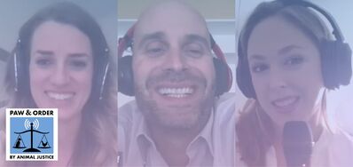 #63: LIVE From the Online Canadian Law Conference!