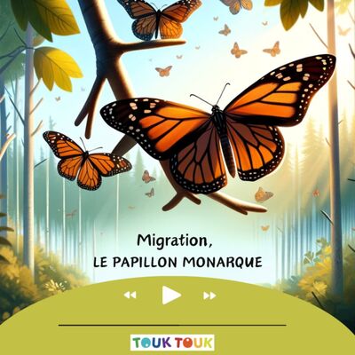 Le papillon Monarque