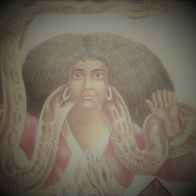 ASMR para dormir 🐍 EL HOMBRE, LA LIEBRE Y LA SERPIENTE 🐰 Historias de africa en susurros