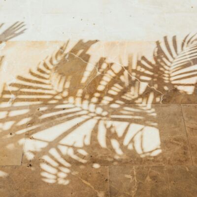 Vol.045 对话环球旅行者五哥：这十年影响我们的人和事