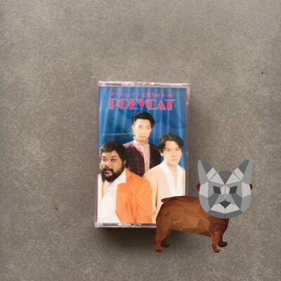 Biwago Boy ตอนที่ 5 The Ordinary Love Story ของ Polycat มาได้ไง 