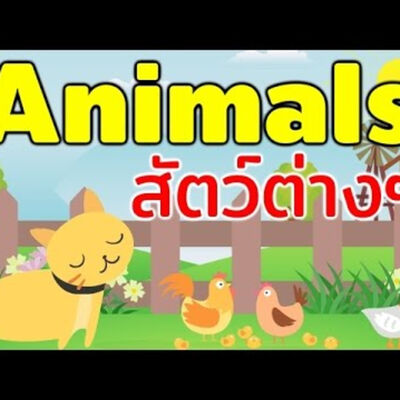 คำศัพท์ที่ใช้ในชีวิตประจำวัน หมวด สัตว์