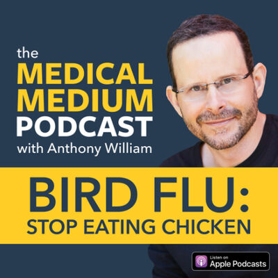 085 Bird Flu: Stop Eating Chicken