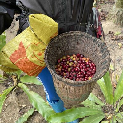  Episode 60: 咖啡豆・降临
 