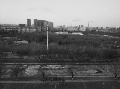 即时满足你的椅子与牛肉