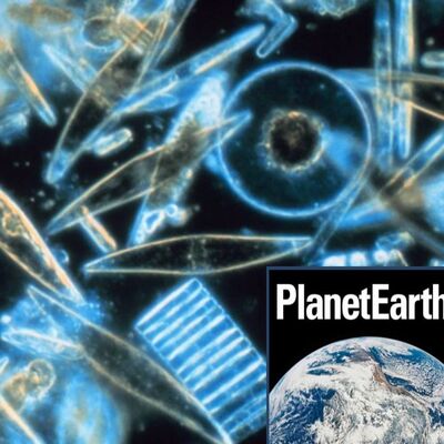 Microscopic plants, using volcanic ash for dating - Planet Earth Podcast - 12.04.25