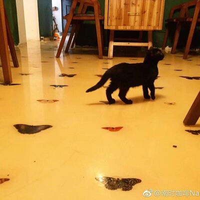  Episode 56：「我的目的不是建立一个完整的咖啡豆知识体系」 