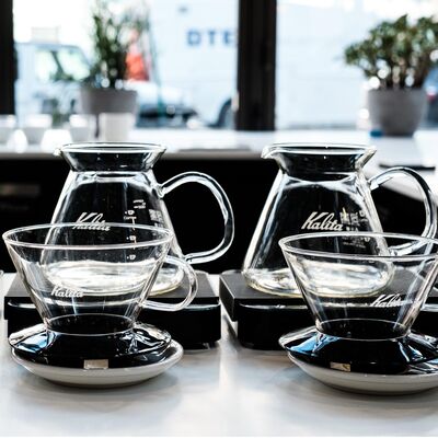 E169: Kalita v Kalita