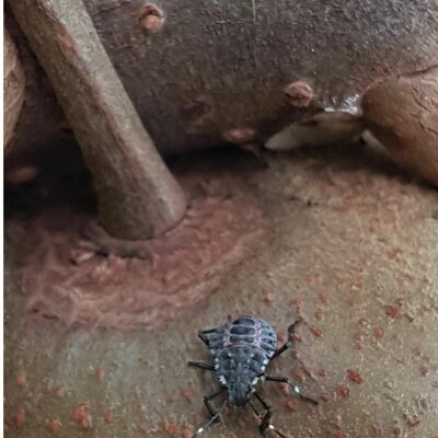 Snapshot - September 2018