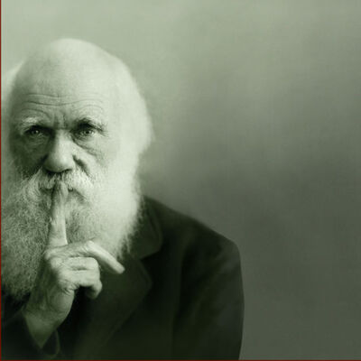 36 - Darwin y la evolución