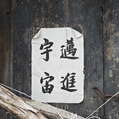  日更终章：二里头、升仙太子碑、启母阙和打虎亭汉墓 