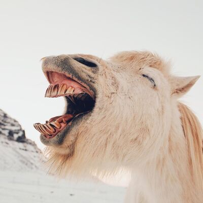 Ngobok #8 - Ngobrol ngalor-ngidul soal kopi, diabetes dan obrolan random bareng dr. Anandika