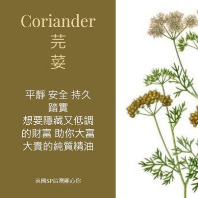 讓精油說故事 芫荽精油 Coriander