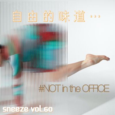 060.自由职业是年轻人的终极梦想么？说出来让我解解馋