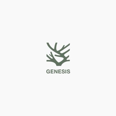 Genesis 1v1-2v3