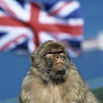 64. Gibraltar.
