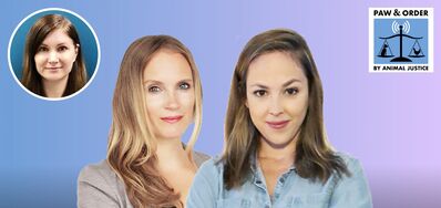 #77: Exposing Egg Industry Mass Killings With Brittany Semeniuk