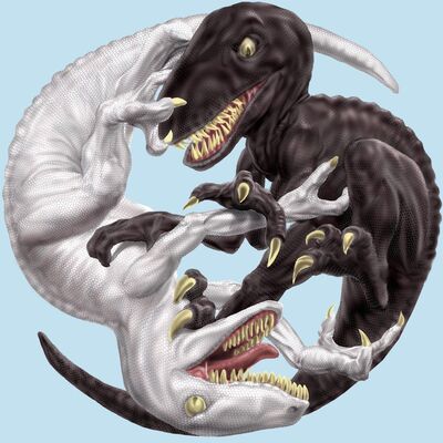  毛豆必须拥有姓名！ 