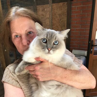 Épisode 40 - Mon chat en pension