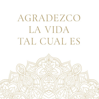 MEDITACIÓN BREVE GUIADA · "Agradezco la Vida tal cual es"