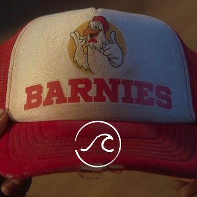 【随机波动160】书影音大放送：今天我们真正害怕的是____吗？