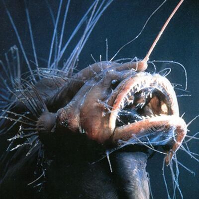 China Beyond the Ends of the Earth: Rolling in the Deep