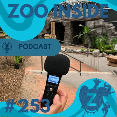 Zoo Inside #253 - Afrika in aanbouw & Zuid-Amerika geopend: Ngyuwe en Novo Mundo
