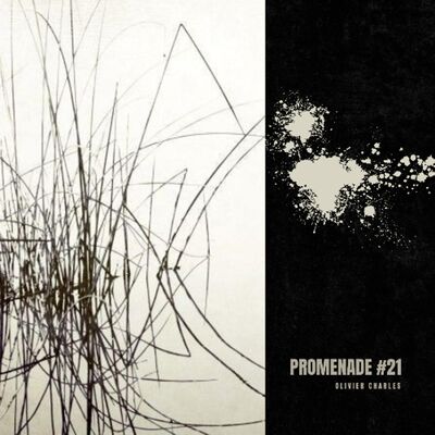 PrOMeNaDe Session #021