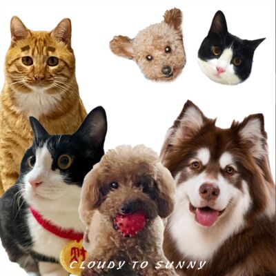 Vol.046 养宠座谈：爱和别离，都是小动物想教会我们的事情