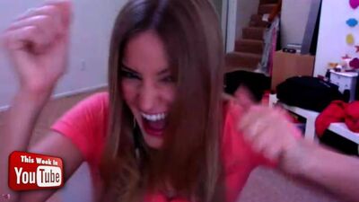TWiYT 5: Stupid Cat Videos - YouTube rolls out paid subscriptions for select channels, sad cat diaries, and iJustine discusses her new wearable tech show.