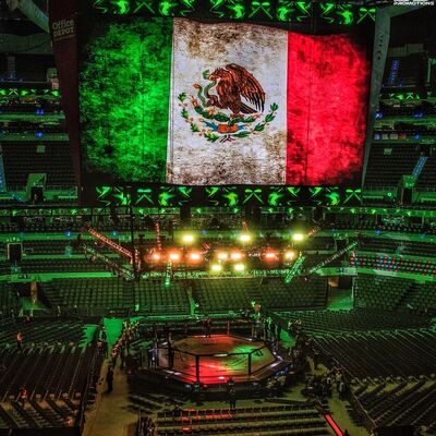 Episodio 16 - Criterios de Jueceo en voz de Blablo Puga, Juez Certificafo por la IMMAF