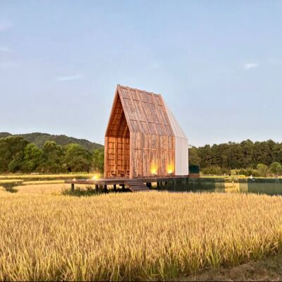 39. 读书的目的之一：解决生活中的问题