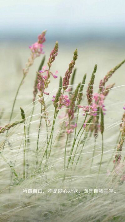 我真的太喜欢温柔的人了