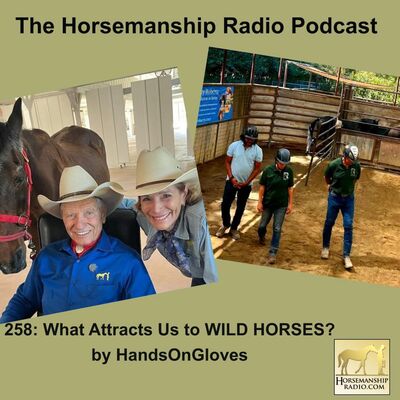 258: What Attracts Us to WILD HORSES? by HandsOnGloves