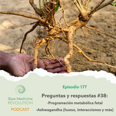 177 - P&R 38:Programación metabólica fetal / Ashwaganda (hueso, interacciones y más) - Episodio exclusivo para mecenas