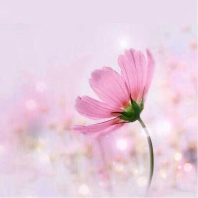 怨恨并不能让你快乐