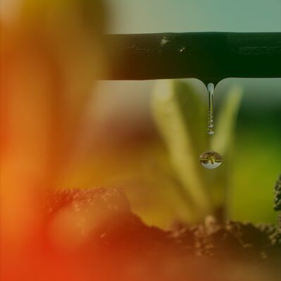 Why Climate Matters: Water Scarcity