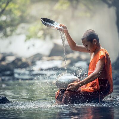 Meditazione sull'invidia