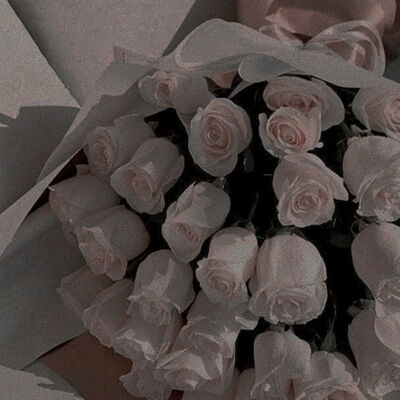 【直播紀錄】 20230521｜雙子座生日快樂