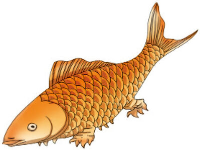 5-6-③ 中山经：常烝山、夸父山、阳华山 及中次六经的总括