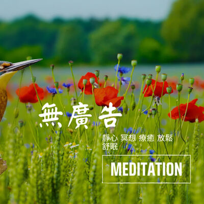 2小時 無廣告純音樂{豎琴 +大自然冥想音樂 流水 鳥鳴 }靜心音樂 療癒音樂 安眠音樂 放鬆音樂 舒壓音樂 度放鬆失眠 靈氣 Relexing Music Meditation，soul，Yoga