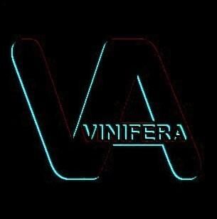 Vinifera - Promo Mix 2019