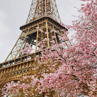 El hexágono - Abril en París - 08/04/23