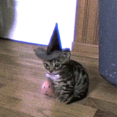  播客之神抛弃了我 