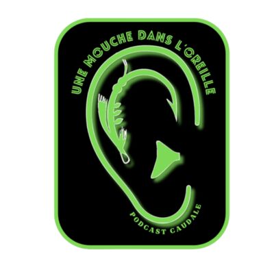 #5 - Une mouche dans l'oreille (LA HARES EAR)