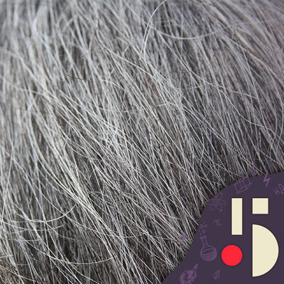 Le stress à l'origine de vos cheveux blancs? (EN REDIFFUSION)
